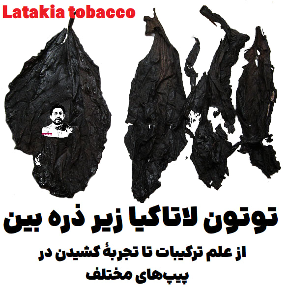 توتون لاتاکیا زیر ذره بین : از علم ترکیبات تا تجربهٔ کشیدن در پیپهای مختلف Latakia tobacco