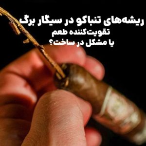 ریشه‌های تنباکو در سیگار برگ : تقویت‌کننده طعم یا مشکل در ساخت؟