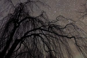 سرچشمه تنباکو در افسانه‌های قبیله «کراو» ؛ پیوند آسمان و زمین در فرهنگ بومیان آمریکا و زیبایی‌شناسی دود پیپ