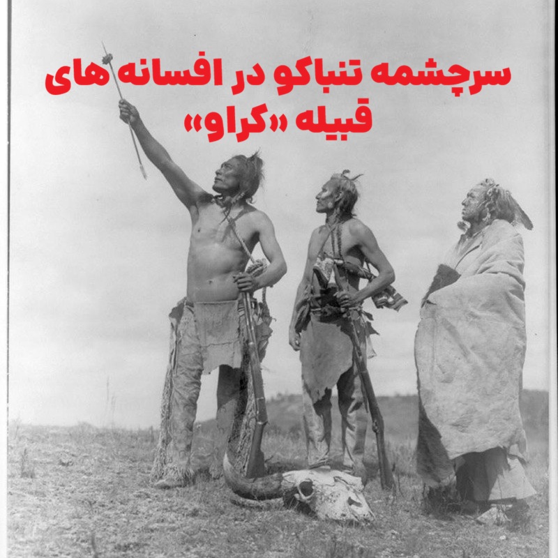 سرچشمه تنباکو در افسانههای قبیله «کراو» ؛ پیوند آسمان و زمین در فرهنگ بومیان آمریکا و زیباییشناسی دود پیپ