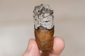 لمپرت اوشن بریز تورو گرانده : سفری آرام در دل طعم‌های کاستاریکایی