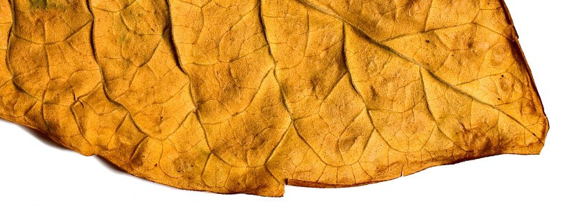 photo 2026 01 07 18 47 30