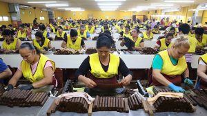 خلق یک شاهکار: سفر به قلب کارخانه پادرون و مزرعه کوهستانی لا فلوریندا