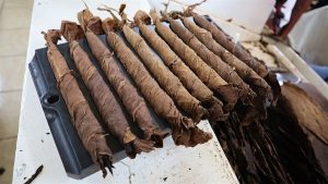 خلق یک شاهکار: سفر به قلب کارخانه پادرون و مزرعه کوهستانی لا فلوریندا