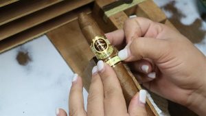 خلق یک شاهکار: سفر به قلب کارخانه پادرون و مزرعه کوهستانی لا فلوریندا