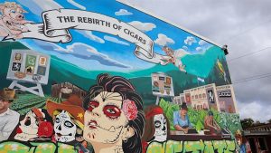 یک روز کامل در جشنواره سیگار برگ نیکاراگوئه: خاطرات و دیدگاه‌هایی از جشنواره پورو سابور در استلی