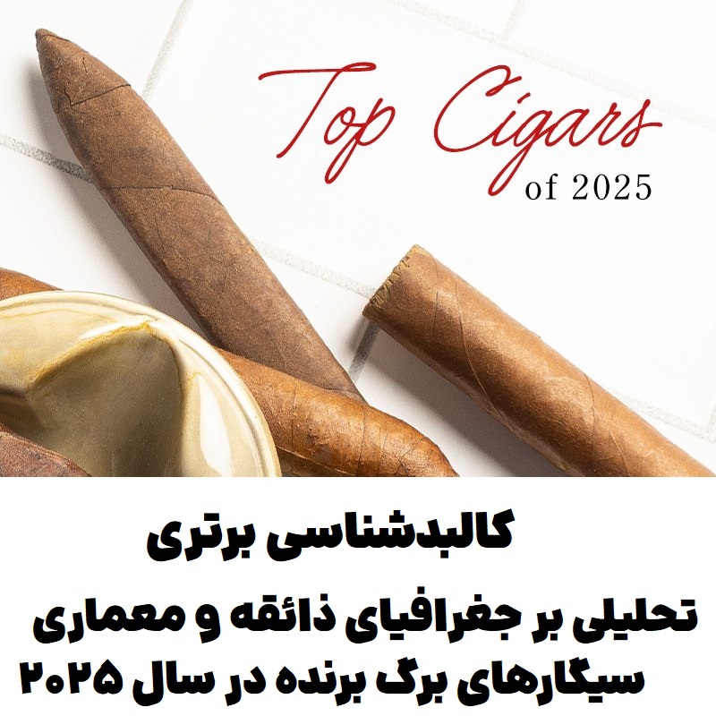 کالبدشناسی برتری : تحلیلی بر جغرافیای ذائقه و معماری سیگارهای برگ برنده در سال ۲۰۲۵