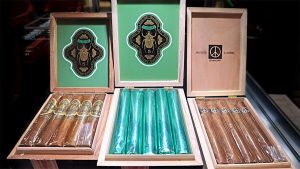 تحلیلی بر معماری رمزآلود «گروپ آو فایو» و محصول جدید SE 1 تحلیلی بر معماری رمزآلود «گروپ آو فایو» و محصول جدید SE