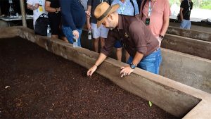 خاک و زمان : معماری شاهکارهای نیکاراگوئه از مزارع پلاسِنسیا تا تاریخ‌سازی جویا