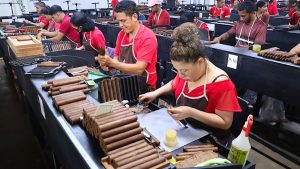 خاک و زمان : معماری شاهکارهای نیکاراگوئه از مزارع پلاسِنسیا تا تاریخ‌سازی جویا