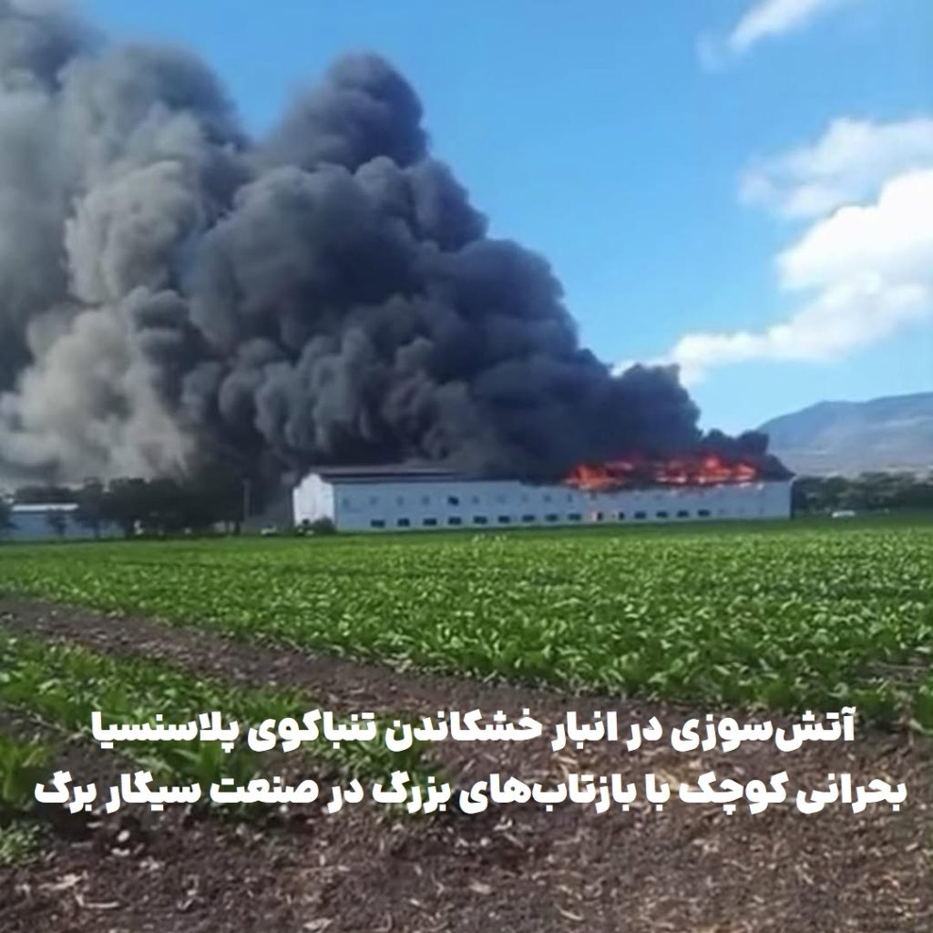آتشسوزی در انبار خشکاندن تنباکوی پلاسنسیا؛ بحرانی کوچک با بازتابهای بزرگ در صنعت سیگار برگ