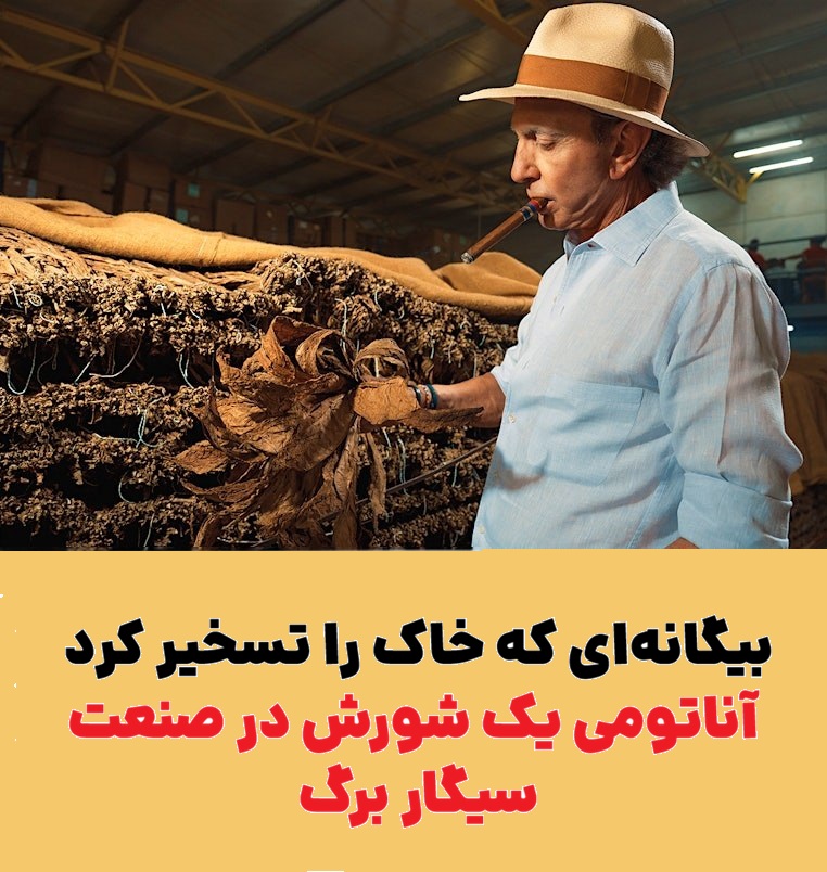 بیگانهای که خاک را تسخیر کرد : آناتومی یک شورش در صنعت سیگار برگ