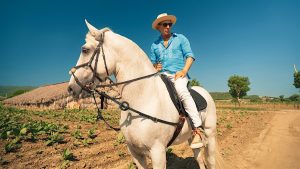 بیگانه‌ای که خاک را تسخیر کرد : آناتومی یک شورش در صنعت سیگار برگ