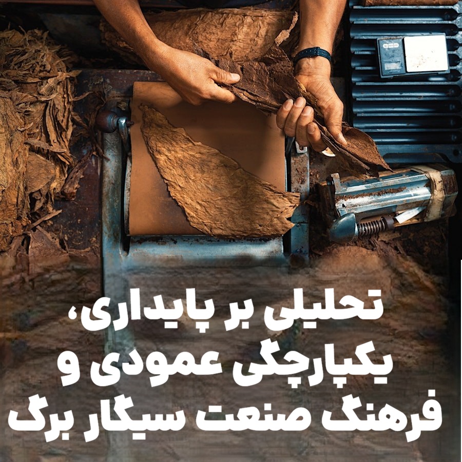 تحلیلی بر پایداری، یکپارچگی عمودی و فرهنگ صنعت سیگار برگ