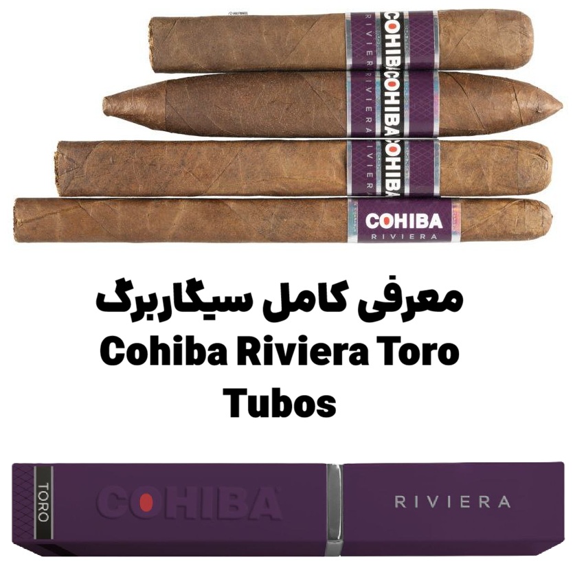 معرفی کامل سیگاربرگ Cohiba Riviera Toro Tubos