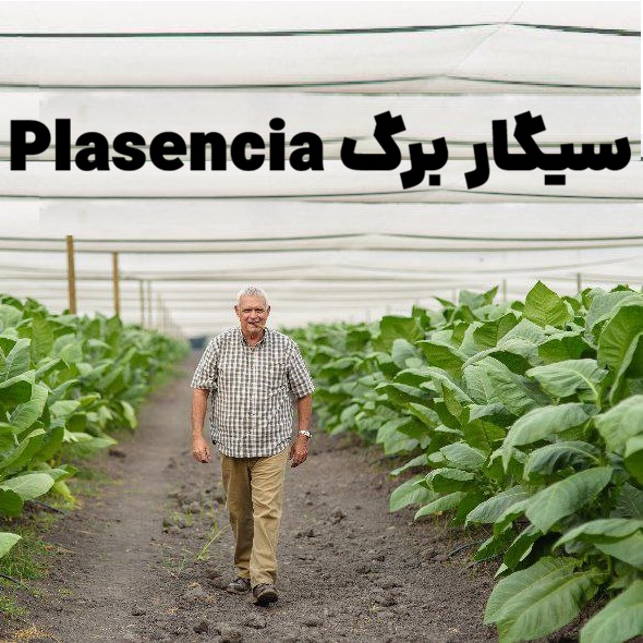 سیگار برگ Plasencia و هفتاد و پنجمین زادروز Don Néstor Plasencia