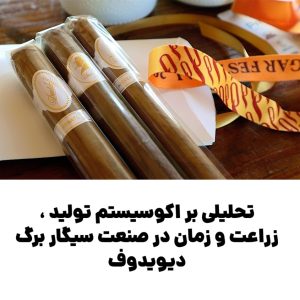 تحلیلی بر اکوسیستم تولید ، زراعت و زمان در صنعت سیگار برگ دیویدوف