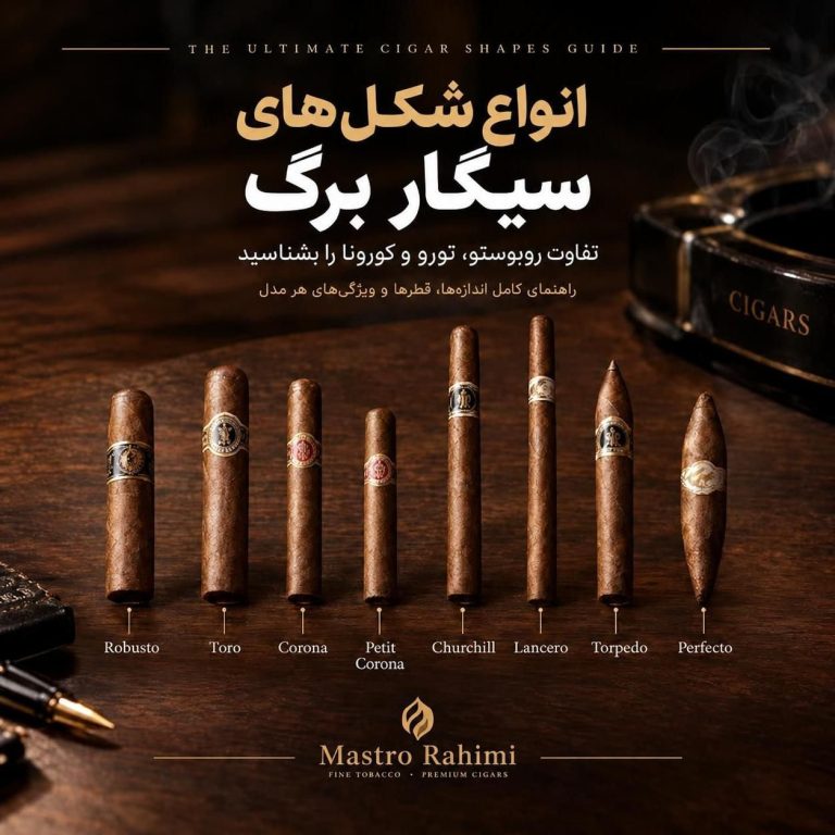 راهنمای کامل شکل‌ های سیگار برگ؛ تفاوت روبوستو، تورو، کورونا، چرچیل و لانسرُو چیست؟