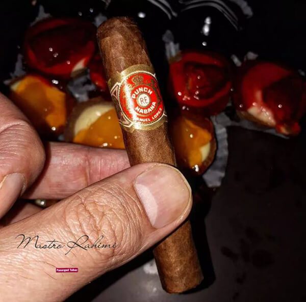 سیگار برگ کوبایی پانچ