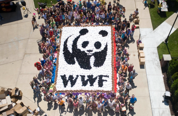 World-Wildlife-Fund-3 نگاهی جامع به کمپین WWF دانمارک درباره واقعیت تاریک مصرفگرایی مدرن