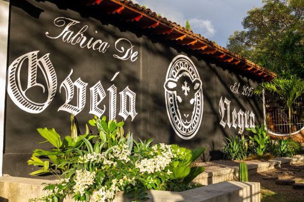 شجاعت متفاوت بودن Black Label Trading Co