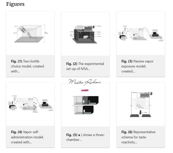 بررسی تأثیر نوع منبع اشتعال بر جذب نیکوتین ، تغییرات مولکولی و پیامدهای رفتاری در مدل‌های جاندار
