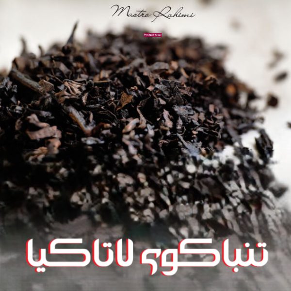 نگاهی عمیق‌ تر ، جامع‌ تر و کاربردی‌ تر به دنیای تنباکوی لاتاکیا