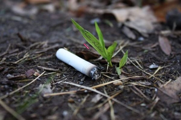 photo_2025-09-16_14-50-30 فیلتر سیگار از مخربترین پسماند هاست