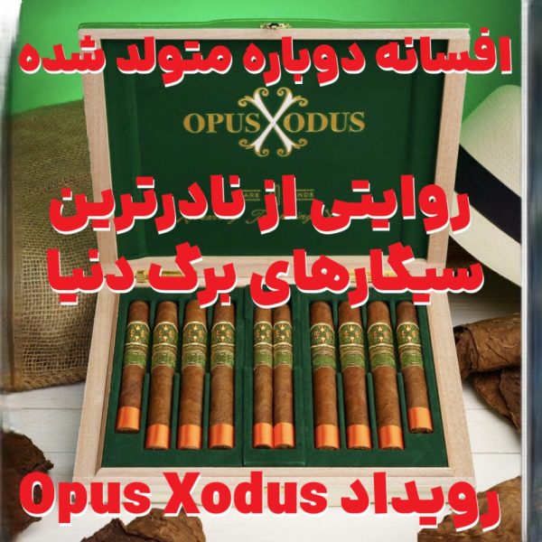 افسانه‌ دوباره متولد شده : روایتی از نادرترین سیگارهای برگ دنیا در رویداد Opus Xodus