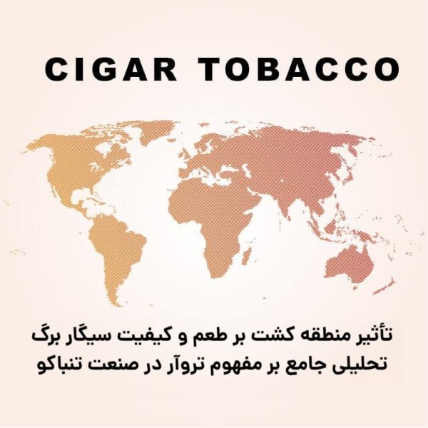 تأثیر منطقه کشت بر طعم و کیفیت سیگار برگ : تحلیلی جامع بر مفهوم تروآر در صنعت تنباکو