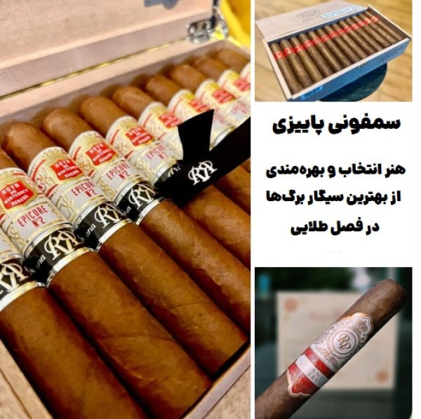 سمفونی پاییزی : هنر انتخاب و بهره‌مندی از بهترین سیگار برگ‌ها در فصل طلایی