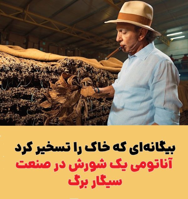 بیگانه‌ای که خاک را تسخیر کرد : آناتومی یک شورش در صنعت سیگار برگ