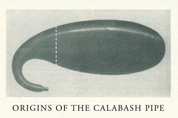 پیپ کالاباش